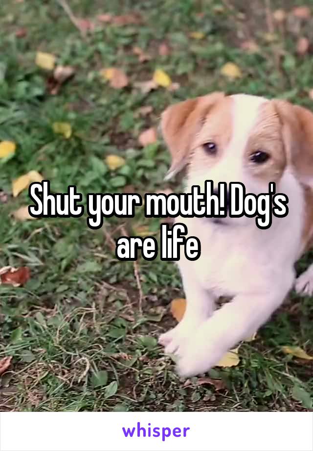 Shut your mouth! Dog's are life
