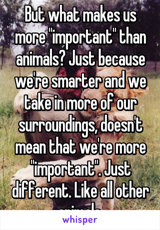 But what makes us more "important" than animals? Just because we're smarter and we take in more of our surroundings, doesn't mean that we're more "important". Just different. Like all other animals.