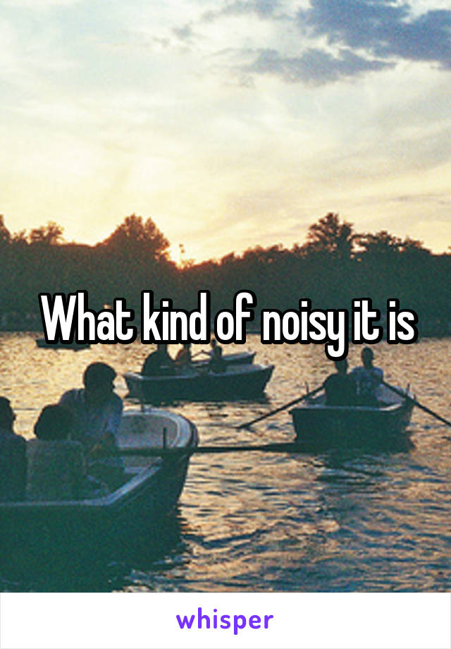 What kind of noisy it is