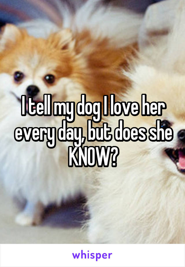 I tell my dog I love her every day, but does she KNOW?