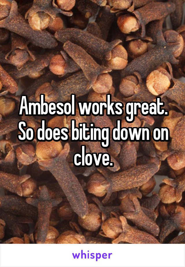 Ambesol works great.
So does biting down on clove.