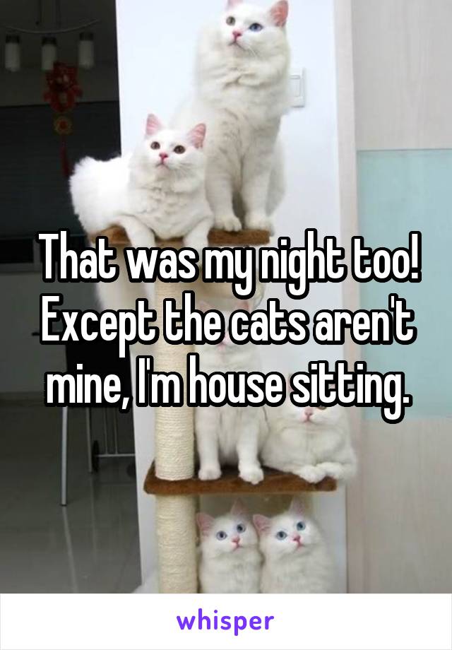 That was my night too! Except the cats aren't mine, I'm house sitting.