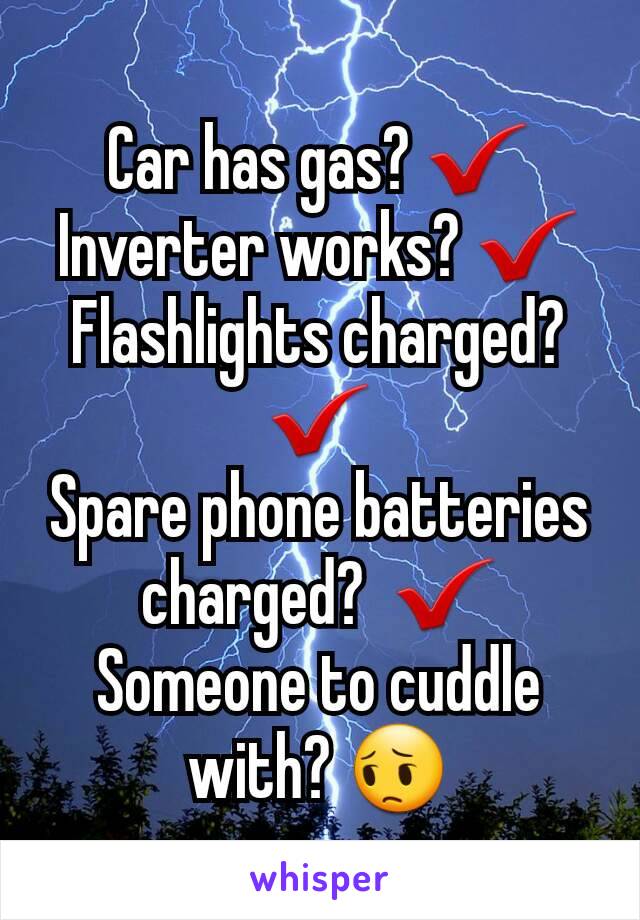 Car has gas? ✔
Inverter works? ✔
Flashlights charged?✔
Spare phone batteries charged?  ✔
Someone to cuddle with? 😔