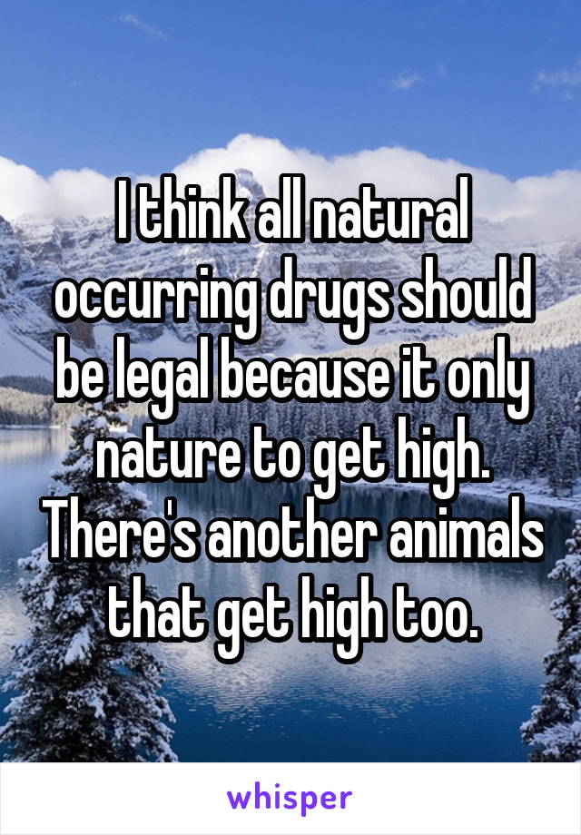 I think all natural occurring drugs should be legal because it only nature to get high. There's another animals that get high too.