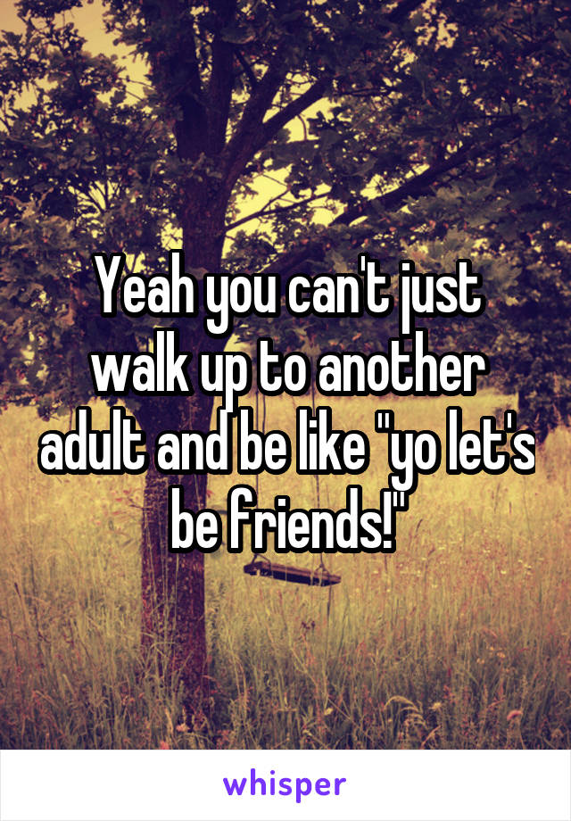 Yeah you can't just walk up to another adult and be like "yo let's be friends!"