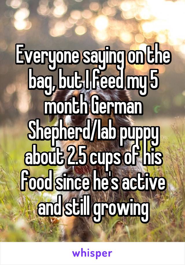 Everyone saying on the bag, but I feed my 5 month German Shepherd/lab puppy about 2.5 cups of his food since he's active and still growing
