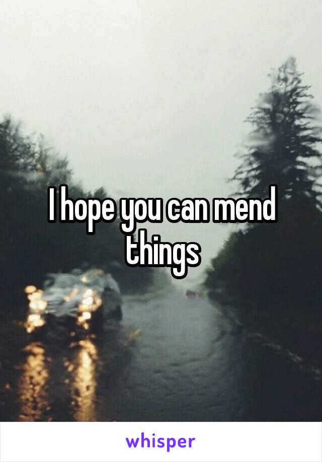 I hope you can mend things