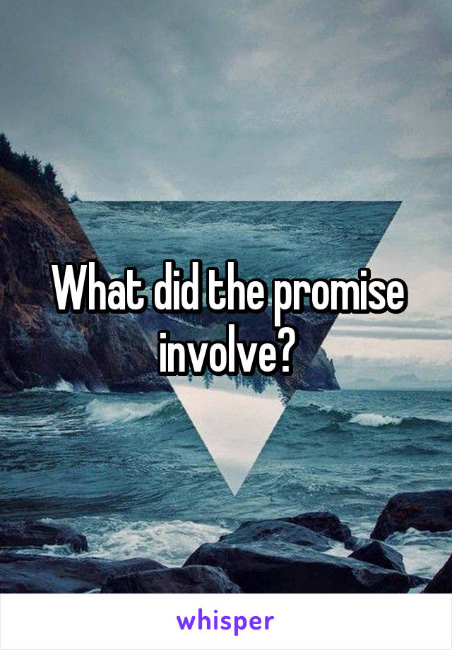 What did the promise involve?
