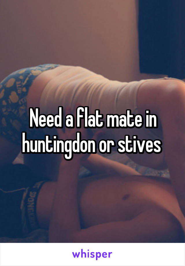 Need a flat mate in huntingdon or stives 