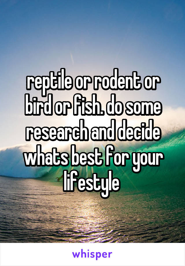 reptile or rodent or bird or fish. do some research and decide whats best for your lifestyle 