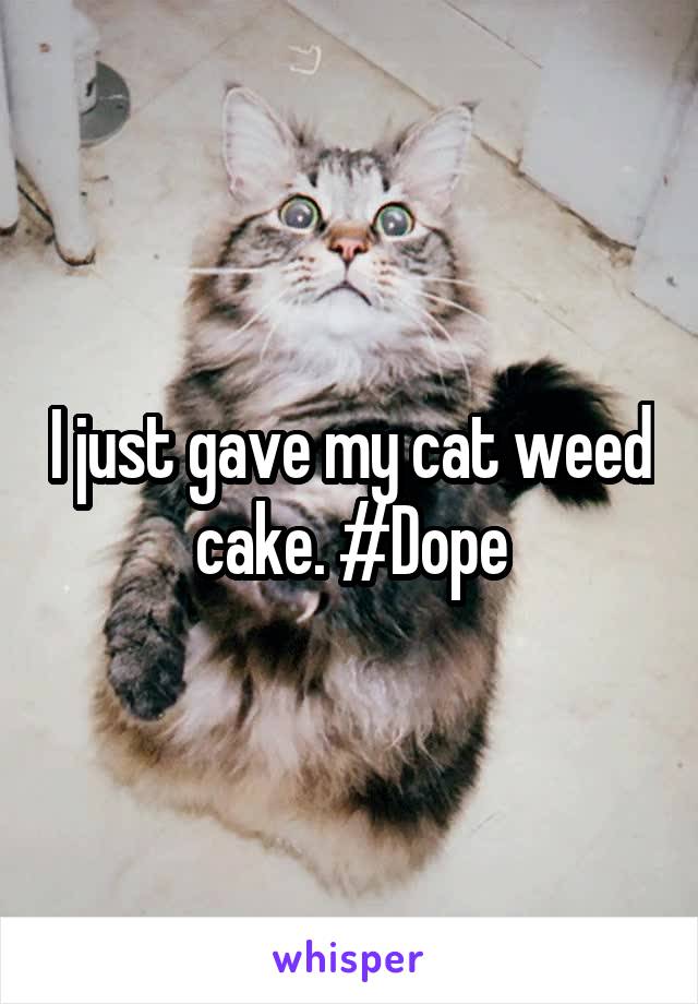 I just gave my cat weed cake. #Dope