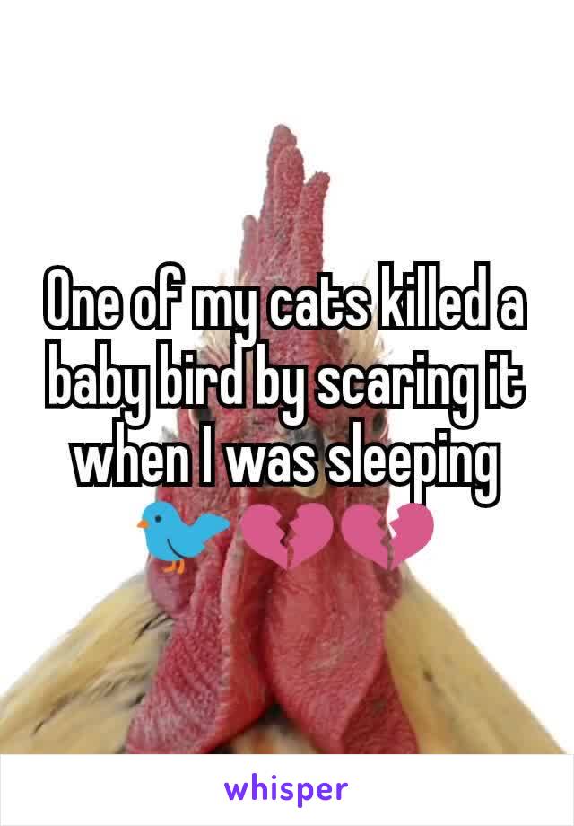 One of my cats killed a baby bird by scaring it when I was sleeping 🐦💔💔