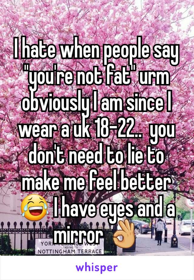 I hate when people say "you're not fat" urm obviously I am since I wear a uk 18-22..  you don't need to lie to make me feel better 😂 I have eyes and a mirror 👌