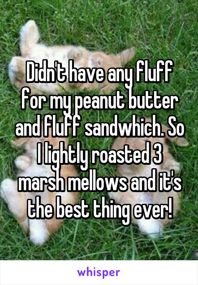 Didn't have any fluff for my peanut butter and fluff sandwhich. So I lightly roasted 3 marsh mellows and it's the best thing ever!