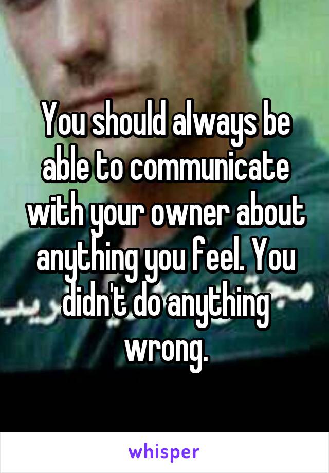 You should always be able to communicate with your owner about anything you feel. You didn't do anything wrong.