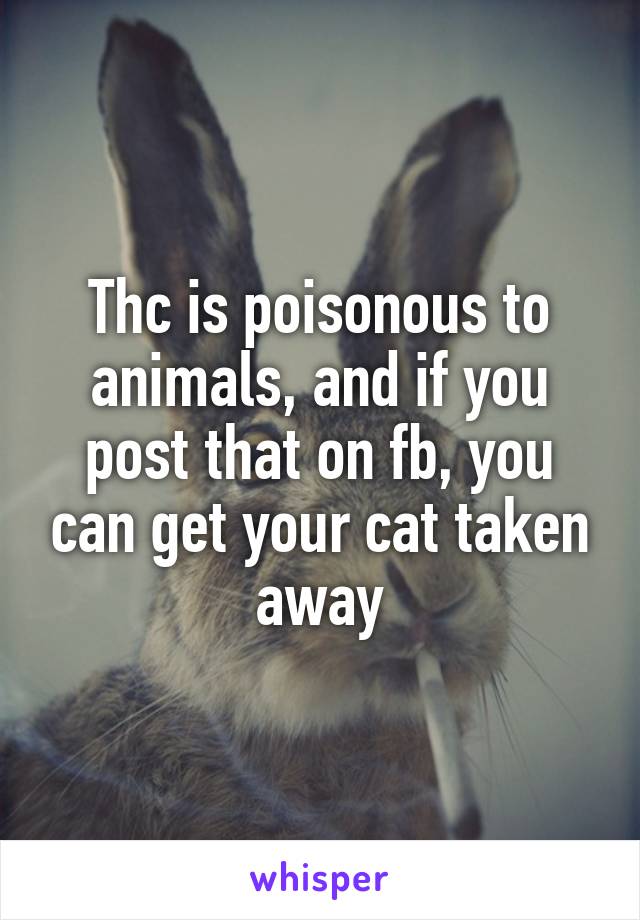Thc is poisonous to animals, and if you post that on fb, you can get your cat taken away