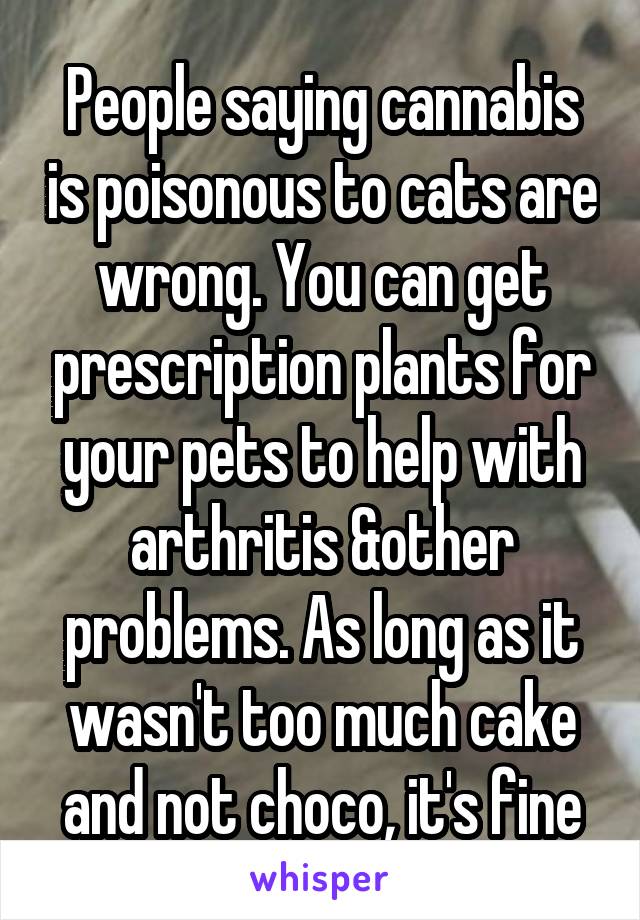 People saying cannabis is poisonous to cats are wrong. You can get prescription plants for your pets to help with arthritis &other problems. As long as it wasn't too much cake and not choco, it's fine
