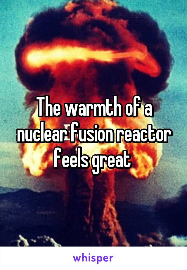 The warmth of a nuclear fusion reactor feels great 