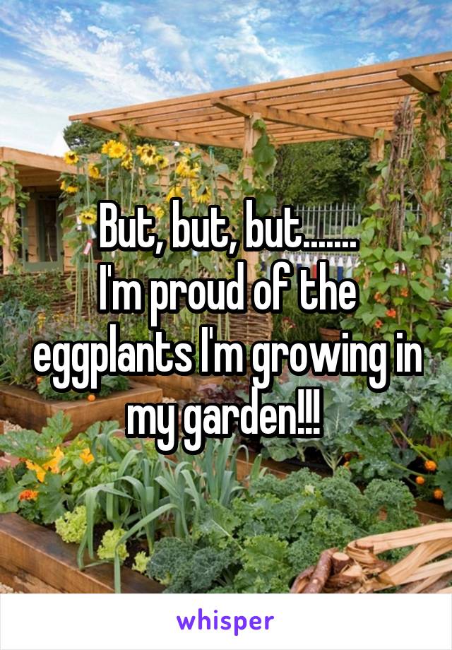 But, but, but.......
I'm proud of the eggplants I'm growing in my garden!!! 