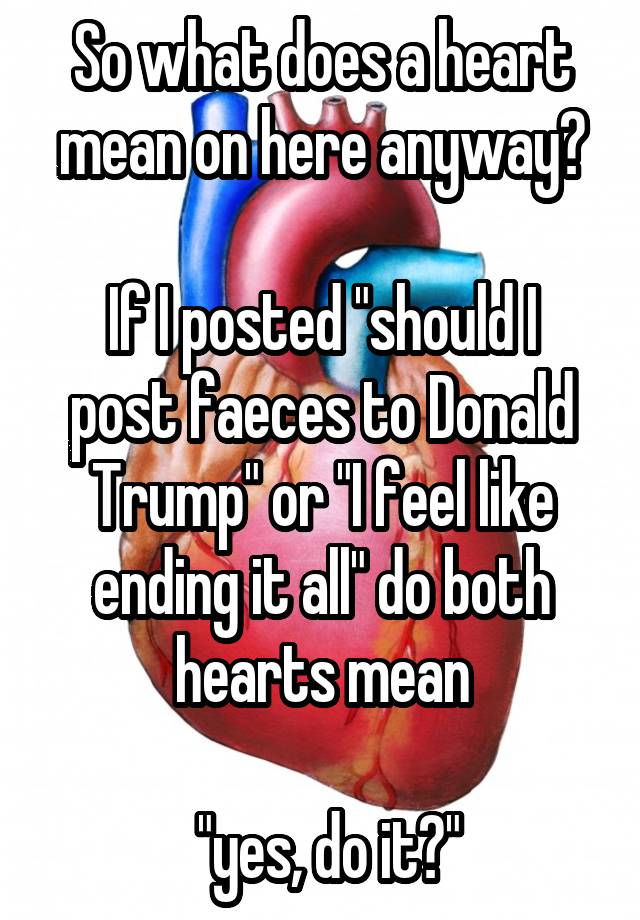 so-what-does-a-heart-mean-on-here-anyway-if-i-posted-should-i-post