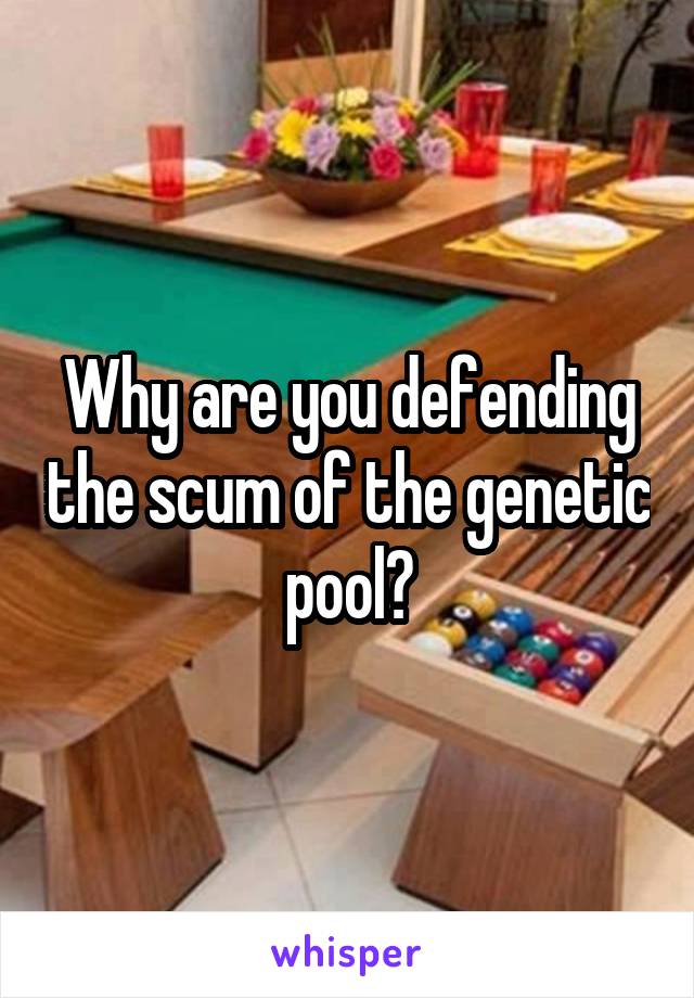 Why are you defending the scum of the genetic pool?