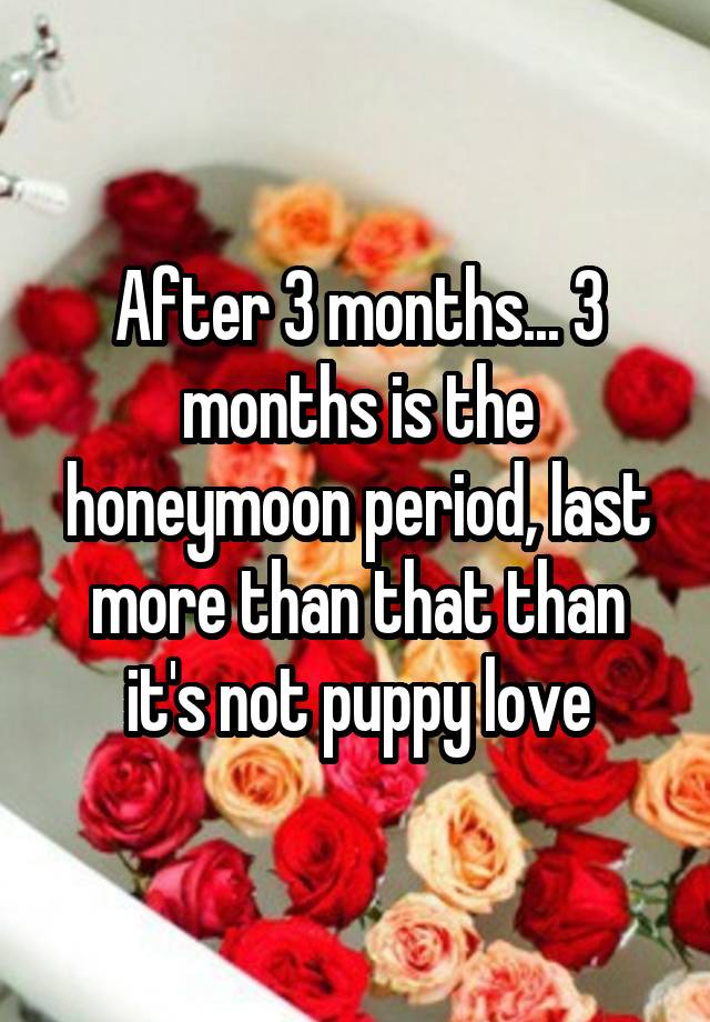 after-3-months-3-months-is-the-honeymoon-period-last-more-than-that-than-it-s-not-puppy-love