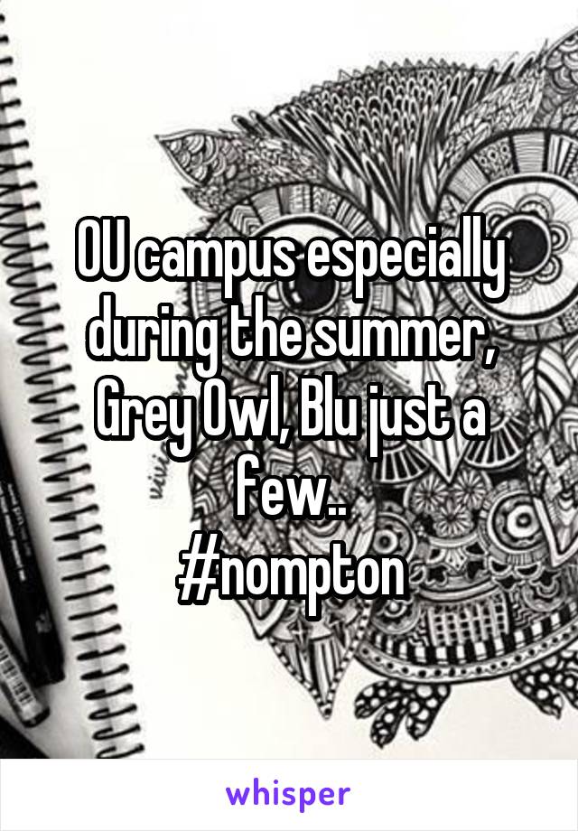 OU campus especially during the summer, Grey Owl, Blu just a few..
#nompton