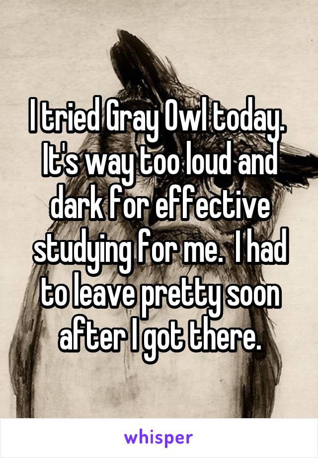I tried Gray Owl today.  It's way too loud and dark for effective studying for me.  I had to leave pretty soon after I got there.