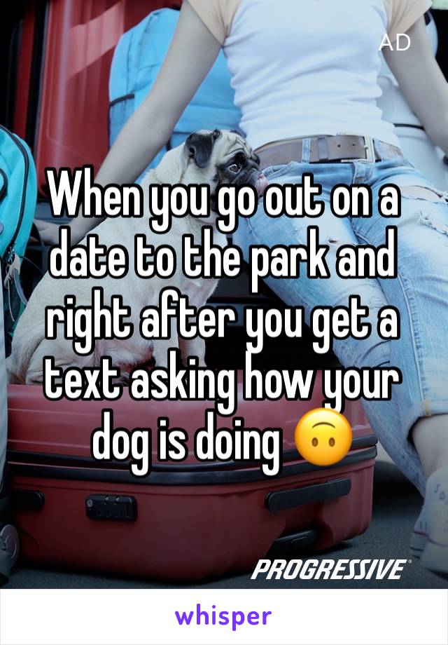 When you go out on a date to the park and right after you get a text asking how your dog is doing 🙃