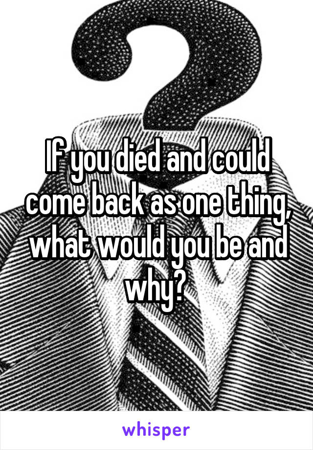 If you died and could come back as one thing, what would you be and why? 