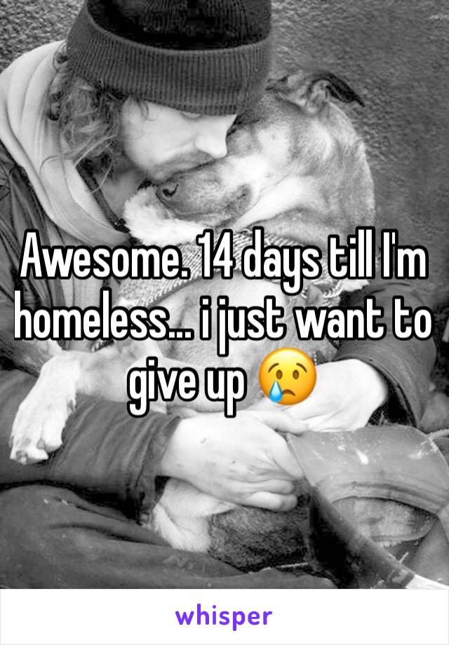 Awesome. 14 days till I'm homeless... i just want to give up 😢