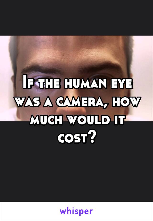 




If the human eye was a camera, how much would it cost?