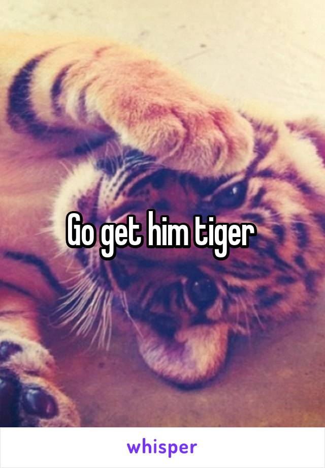 Go get him tiger 