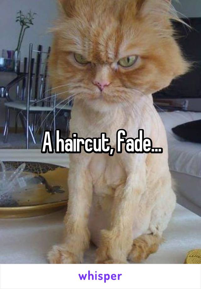 A haircut, fade...