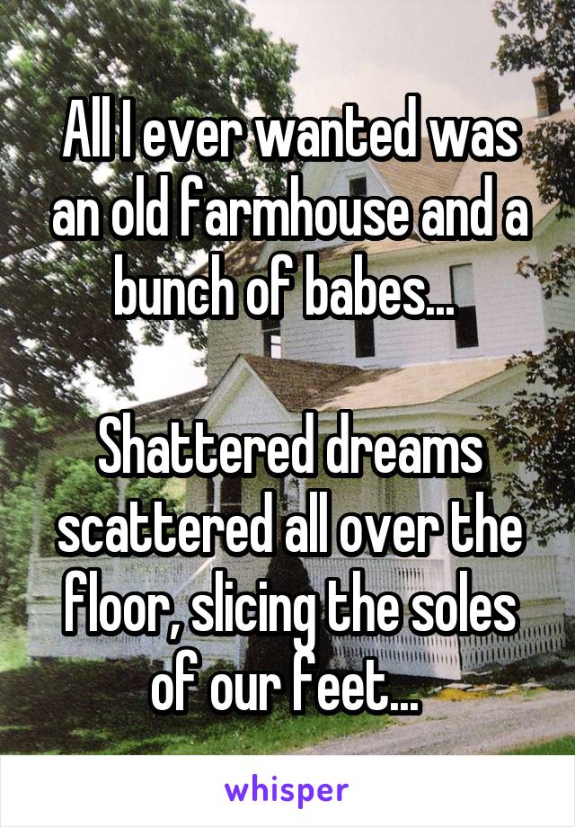 All I ever wanted was an old farmhouse and a bunch of babes... 

Shattered dreams scattered all over the floor, slicing the soles of our feet... 