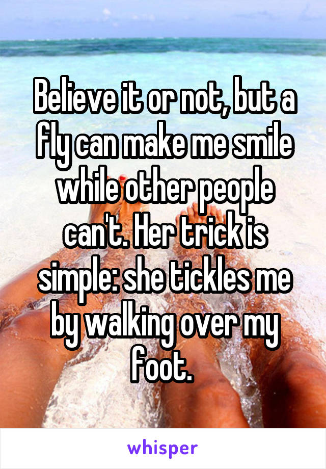 Believe it or not, but a fly can make me smile while other people can't. Her trick is simple: she tickles me by walking over my foot. 