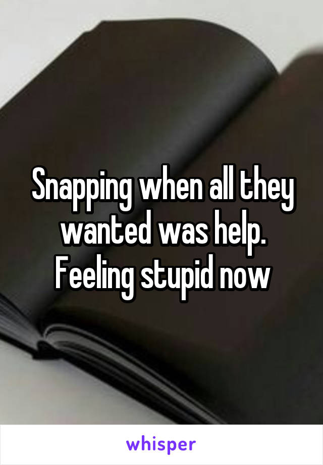 Snapping when all they wanted was help.
Feeling stupid now