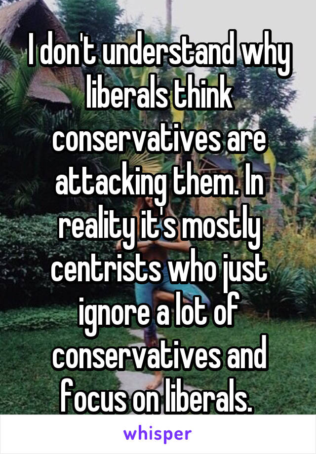 I don't understand why liberals think conservatives are attacking them. In reality it's mostly centrists who just ignore a lot of conservatives and focus on liberals. 