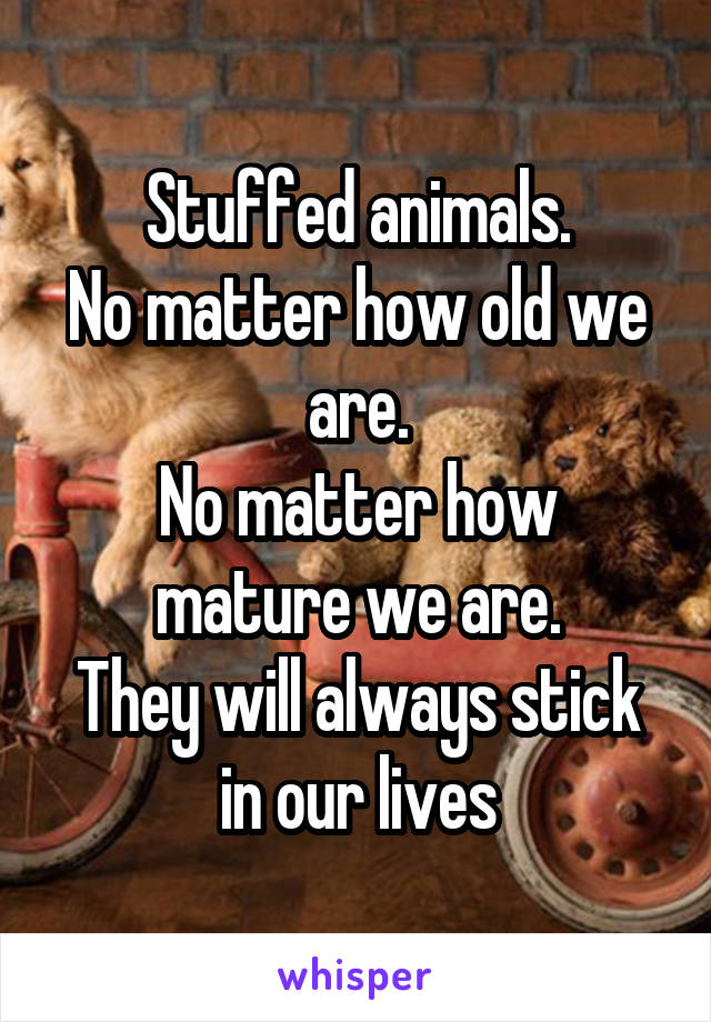 Stuffed animals.
No matter how old we are.
No matter how mature we are.
They will always stick in our lives