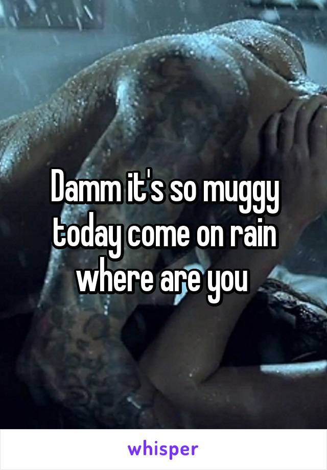 Damm it's so muggy today come on rain where are you 