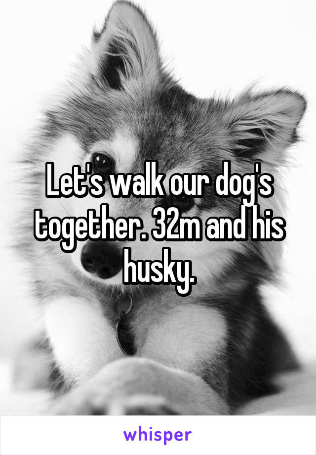 Let's walk our dog's together. 32m and his husky.