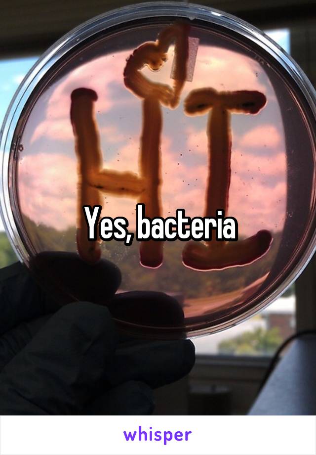 Yes, bacteria