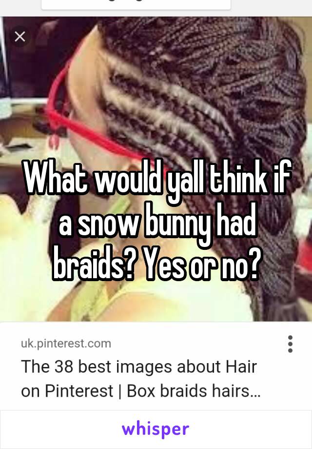 What would yall think if a snow bunny had braids? Yes or no?