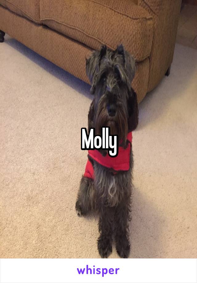 Molly