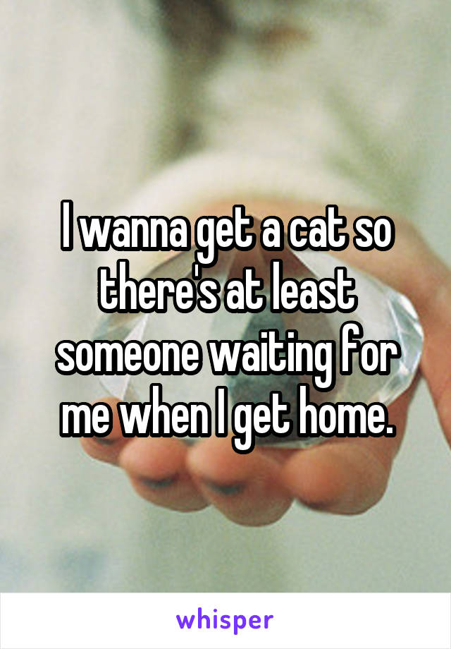 I wanna get a cat so there's at least someone waiting for me when I get home.