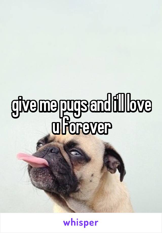 give me pugs and i'll love u forever