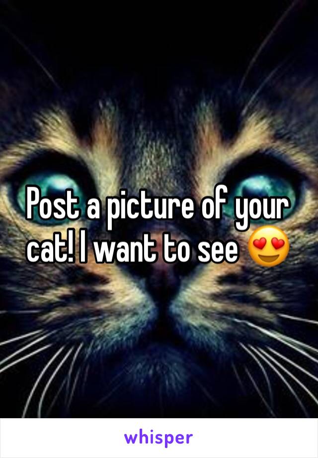 Post a picture of your cat! I want to see 😍