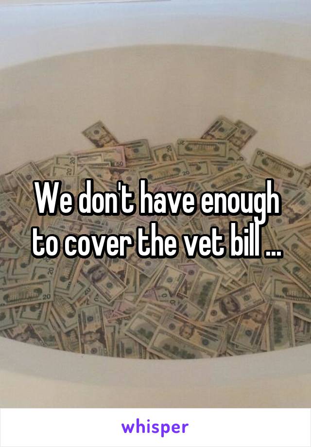 We don't have enough to cover the vet bill ...