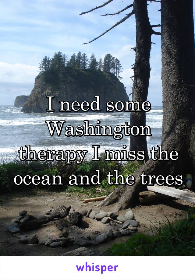 I need some Washington therapy I miss the ocean and the trees