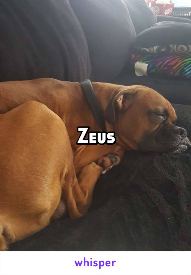 Zeus